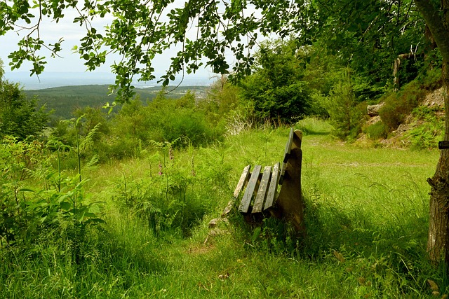 许并不仅仅 许并不仅仅
