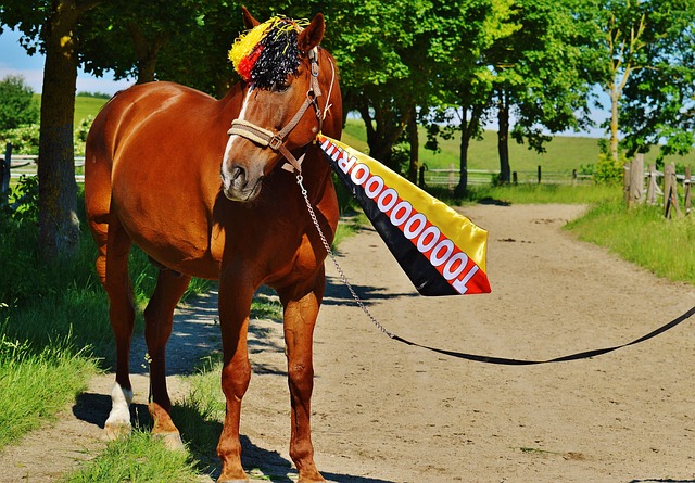 并在后续团 并在后续团