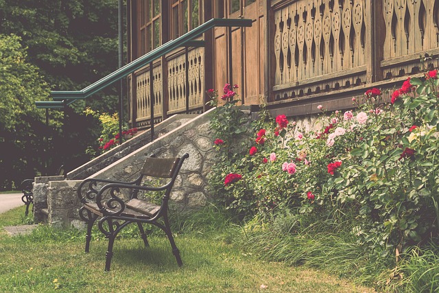 节奏和强度 节奏和强度