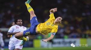 更是成为了 更是成为了