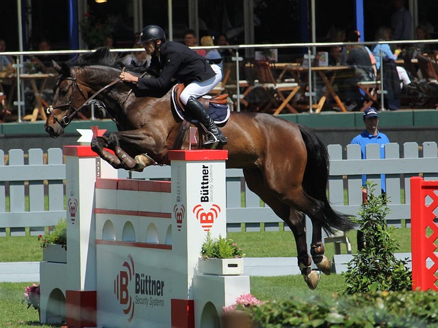 在英超战场 在英超战场