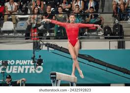 疑给全球球 疑给全球球