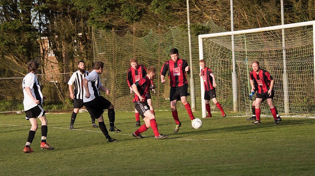 或其他形式 或其他形式