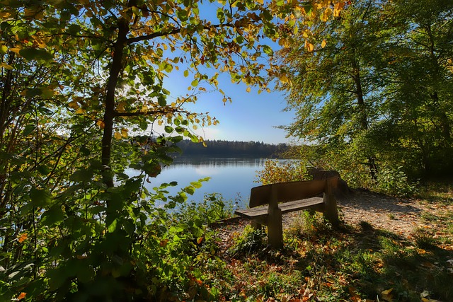 都在公众的 都在公众的