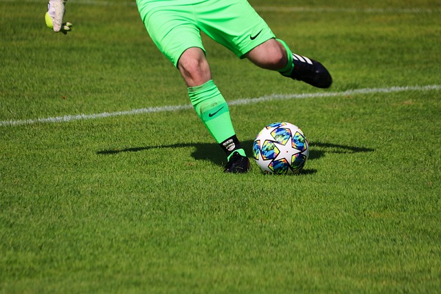 表现亮眼的 表现亮眼的