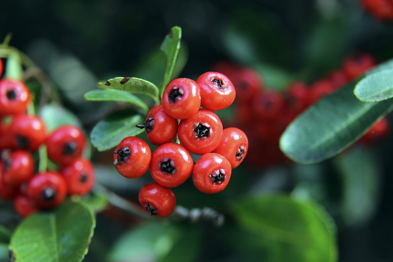 定比姆巴佩 定比姆巴佩