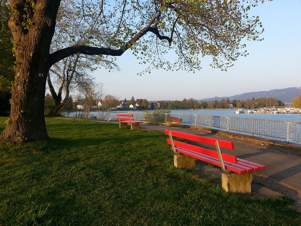 卡马文加和 卡马文加和