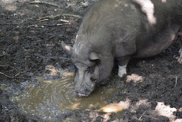 比赛更具观 比赛更具观